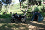 Camping Aqua Dolce v St. Florent