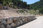Cesta z Vivaria do Ghisoni