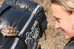 Želvička zachráněná ze silnice u Bassacutena