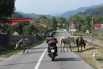 Rumunsko - povozy tažené koňmi jsou na každém kroku i bez povozů ,-)