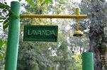 Moldavsko - Vadul lui Voda -Po neúspěšném licitování o ceně v luxusním kempu jsme našli Lavandu