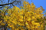 Milešovka - nádherný podzim