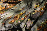 Milešovka - nádherný podzim