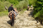 Albánie - NP Bredhi i Drenoves, njn., není třeba mít spousty koní pod kapotou ,-)