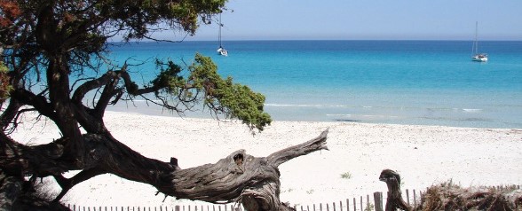 Korsika - Pláž Saleccia